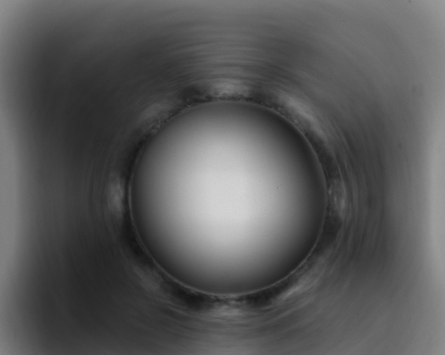 X0000094920550200712061111