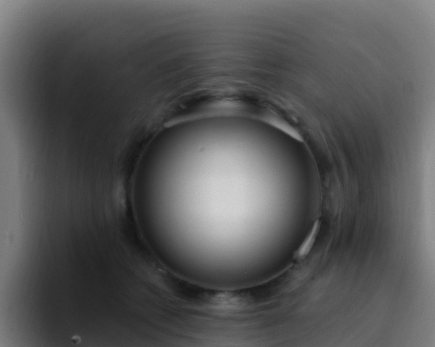 X0000094920562200712061111