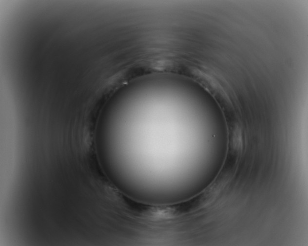 X0000094920569200712061111