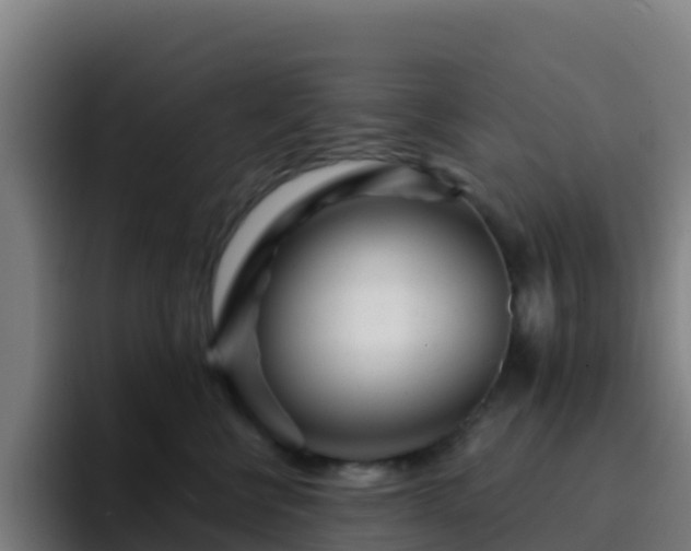 X0000094920570200712061111