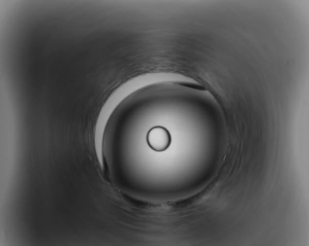 X0000094920576200712061111