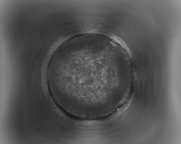 X0000094920577200712061111