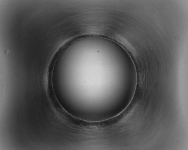 X0000094920580200712061111