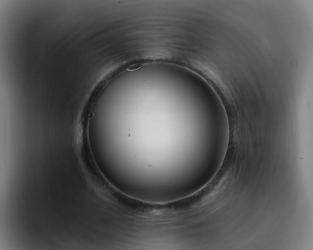 X0000094920584200712061111