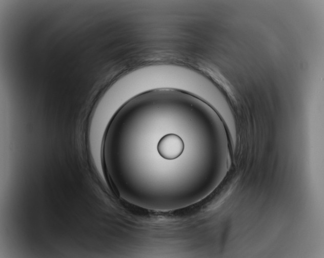 X0000094920585200712061110