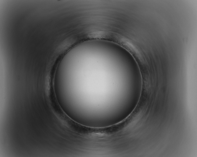 X0000094920586200712061110