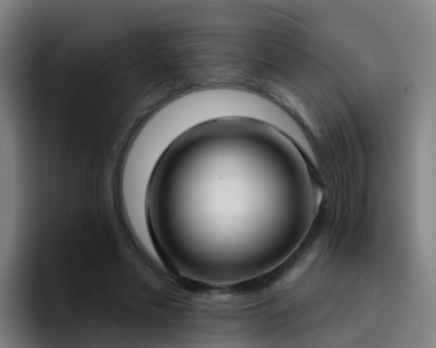 X0000094920589200712061110