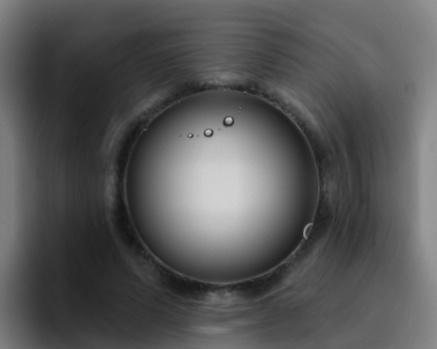 X0000094920591200712061110