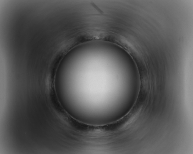 X0000094920594200712061110