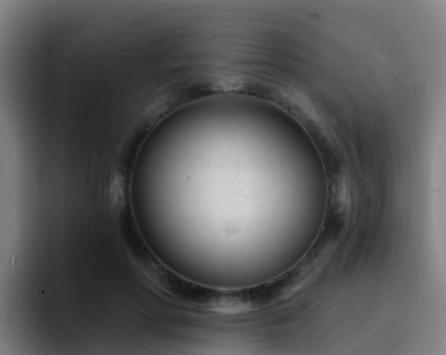 X0000094920598200712061110