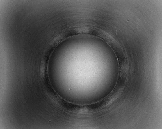 X0000094920600200712061110