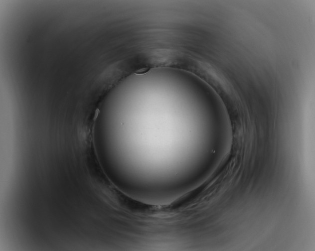 X0000094920601200712061110