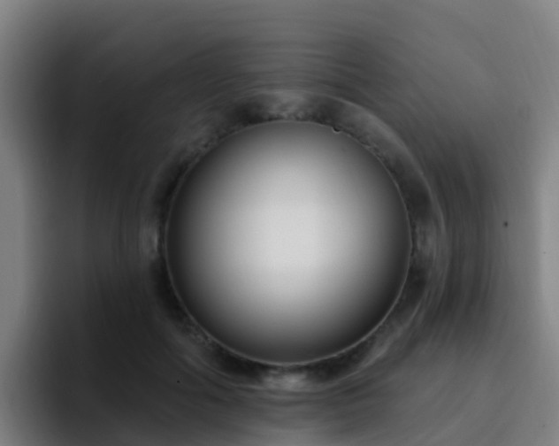 X0000094920602200712061110