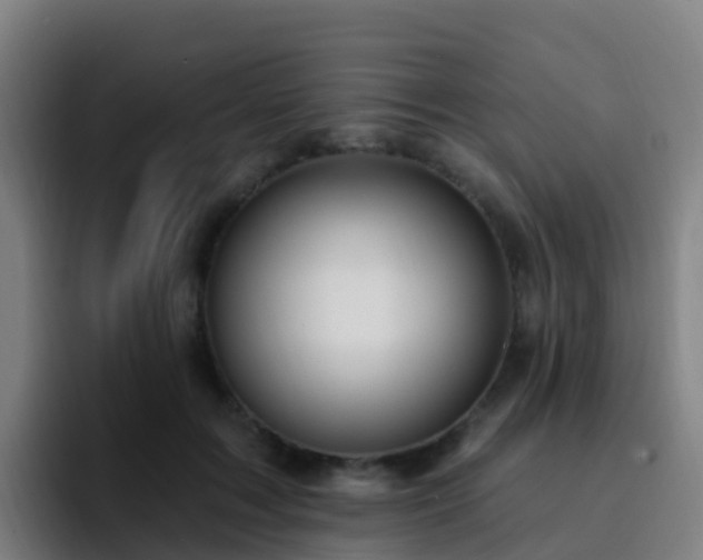 X0000094920603200712061110