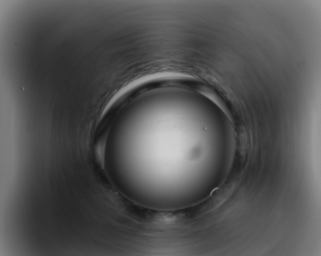 X0000094920613200712061110