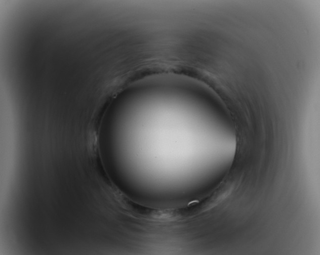 X0000094920624200712061110