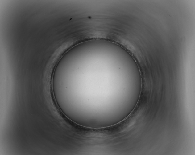 X0000094920625200712061109