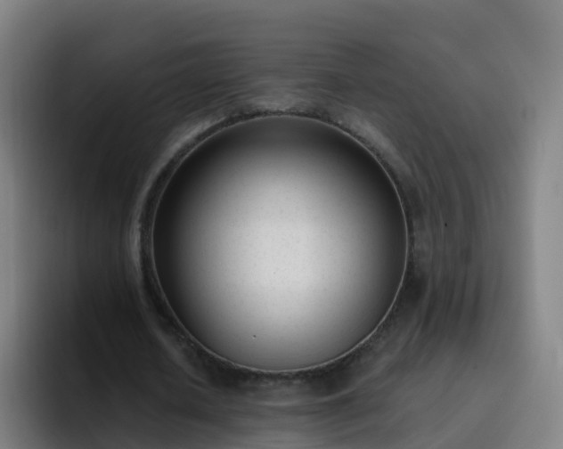 X0000094920626200712061109