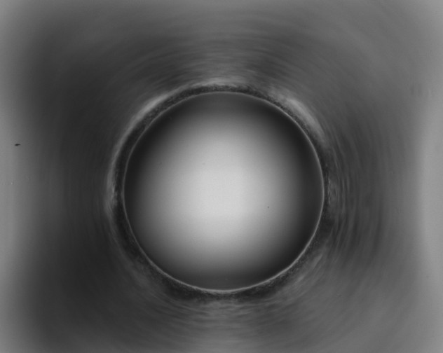 X0000094920628200712061109