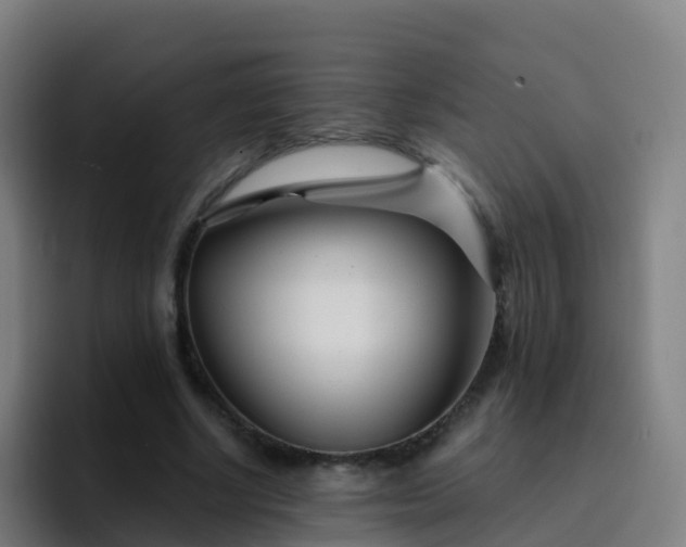 X0000094920634200712061109