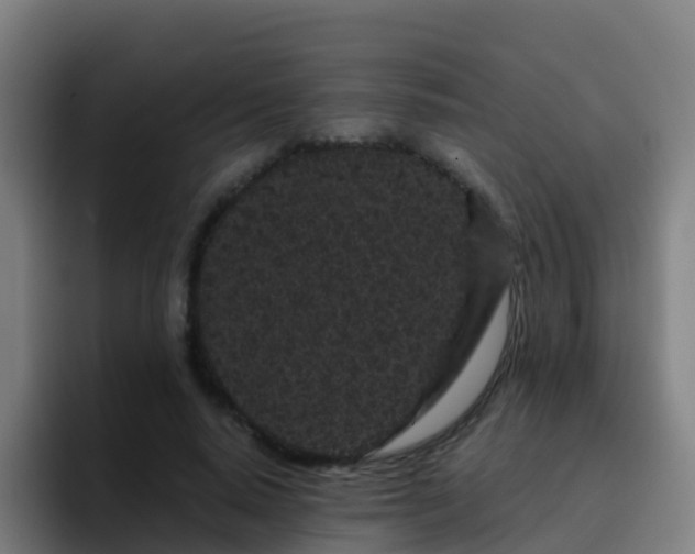 X0000094920640200712061110