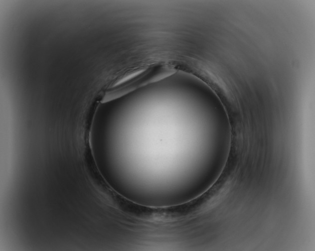 X0000094920641200712061110