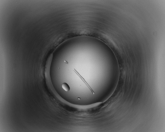 X0000094920643200712061110