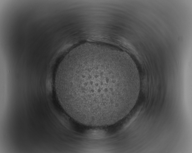 X0000094920644200712061110