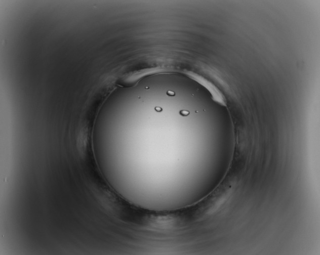 X0000094920645200712061110