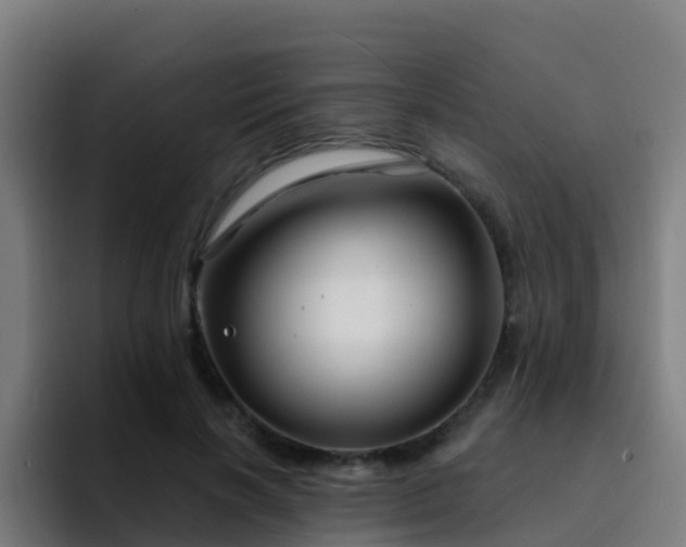 X0000094920646200712061110