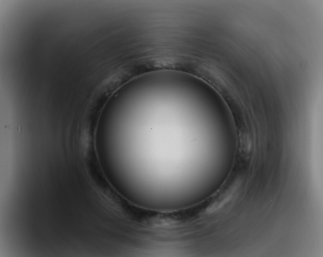 X0000094920648200712061110