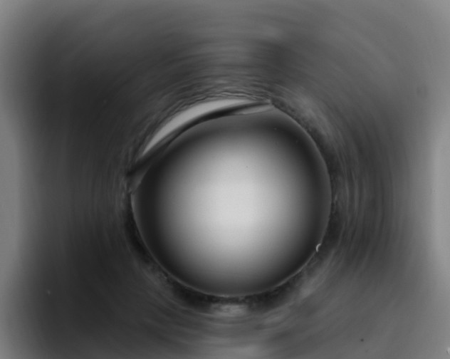 X0000094920649200712061110