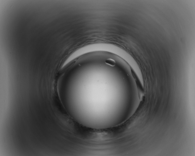 X0000094920650200712061110