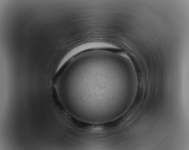 X0000094920651200712061110