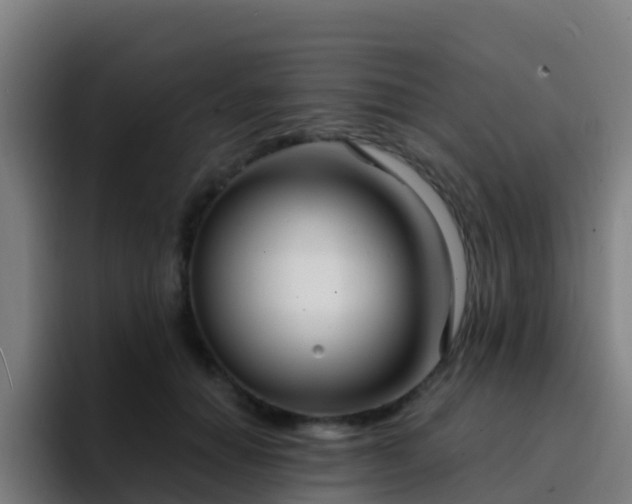 X0000094920654200712061110