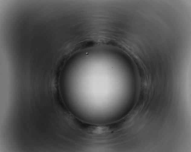 X0000094920663200712061110