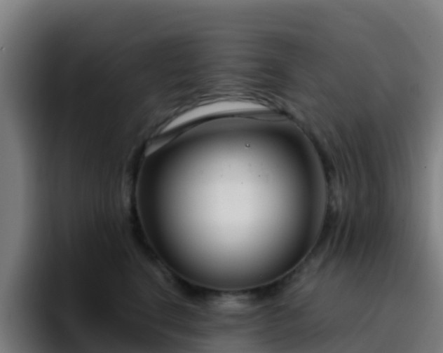 X0000094920664200712061110