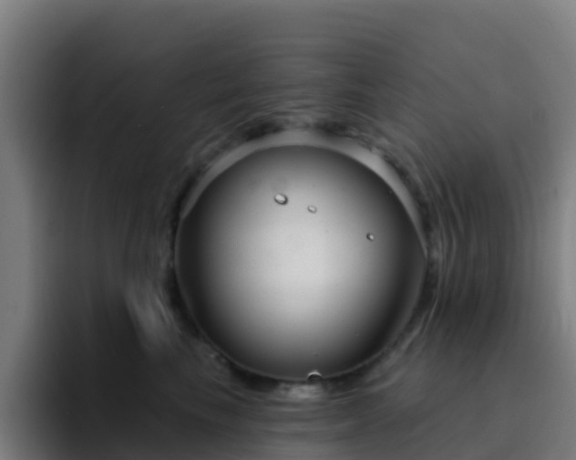 X0000094920665200712061110