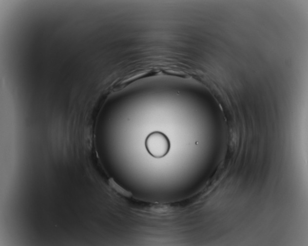 X0000094920666200712061110