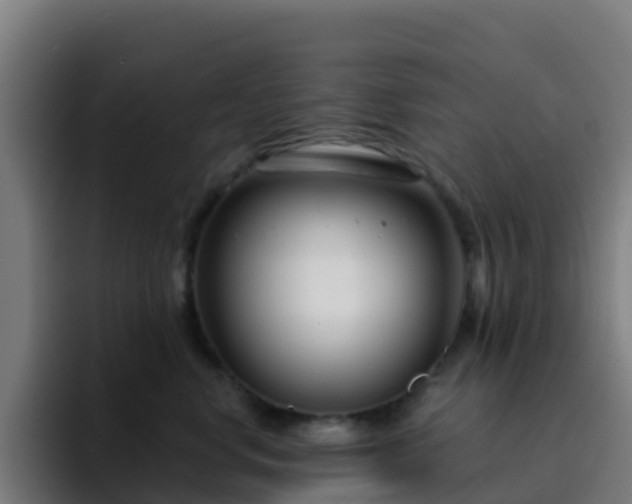 X0000094920668200712061110