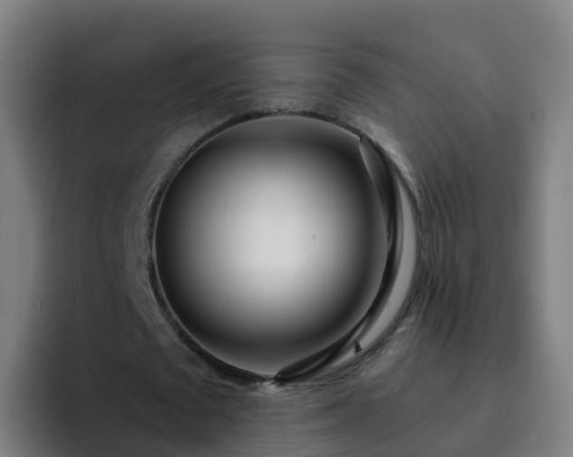 X0000094920673200712061109