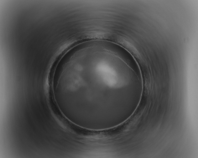 X0000094920674200712061109