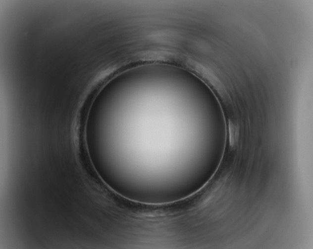 X0000094920675200712061109