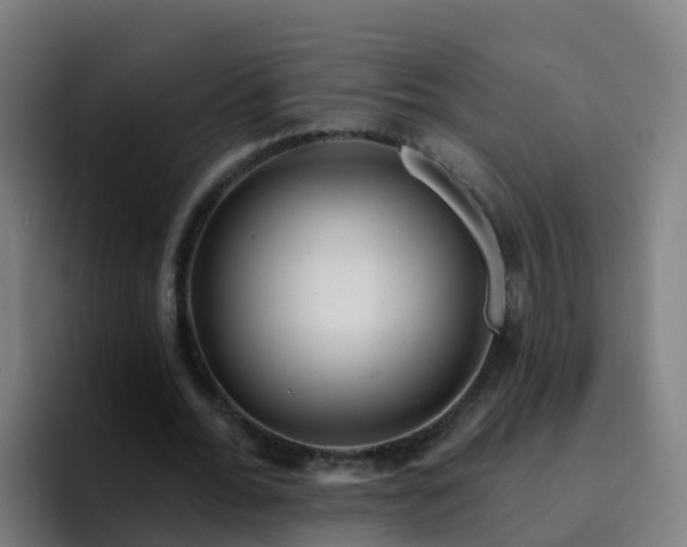 X0000094920676200712061109