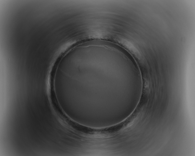 X0000094920678200712061109