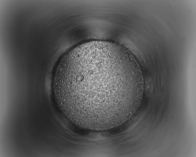 X0000094920679200712061109