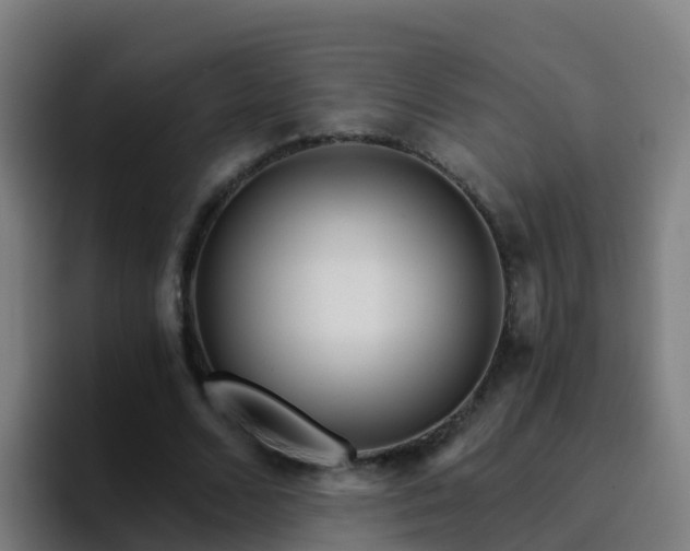 X0000094920680200712061109