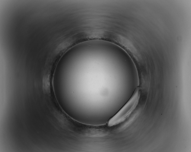 X0000094920681200712061109