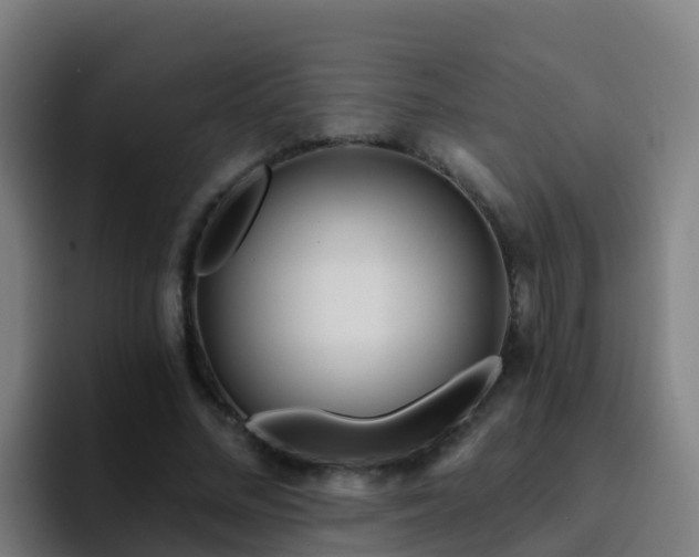 X0000094920684200712061109