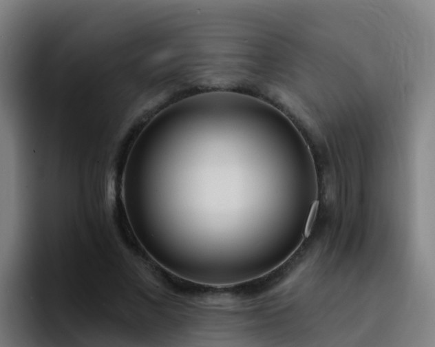 X0000094920685200712061109